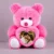 Personalized Pink Teddy Bear with Photo Frame